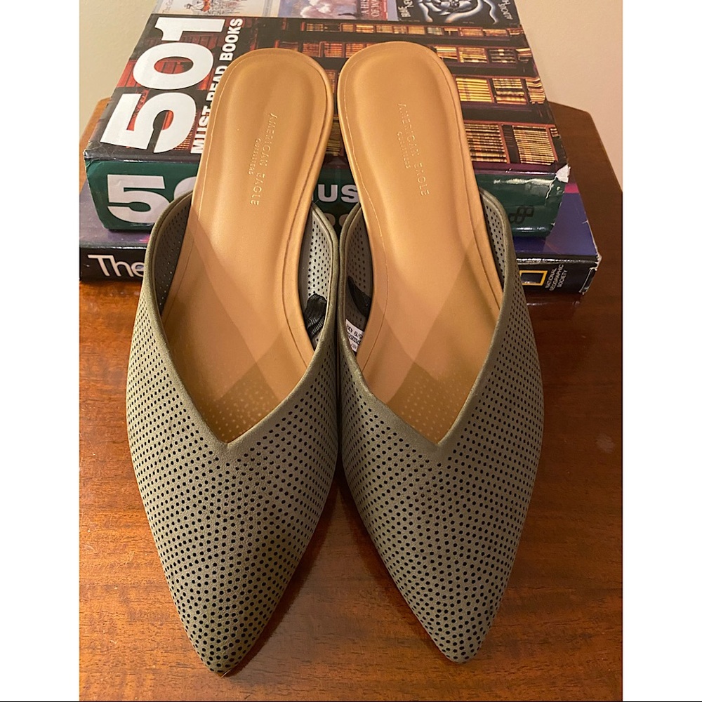 AEO V-Cut Pointed Toe Flat Mule